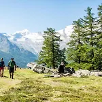 Wellnesshotel Schweizerhof فندق 4*
