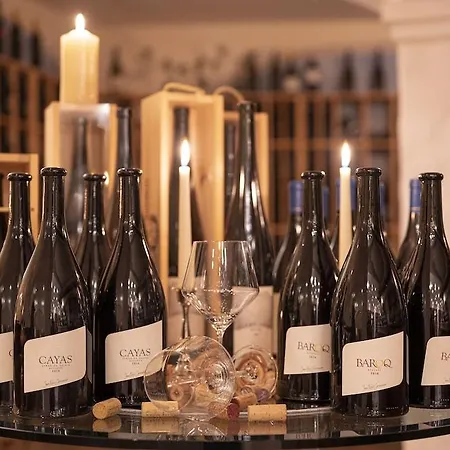 酒店 Wellnesshotel Schweizerhof