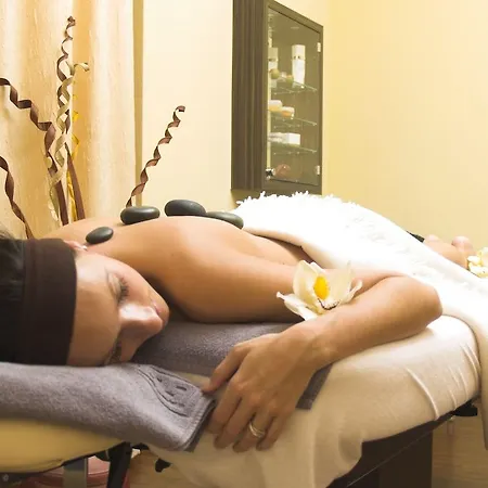 Wellnesshotel Schweizerhof 4* 萨斯费