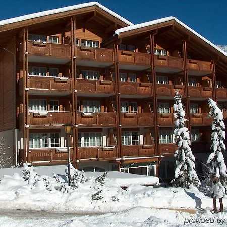 Wellnesshotel Schweizerhof 4* 萨斯费