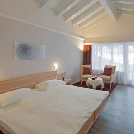 酒店 Wellnesshotel Schweizerhof
