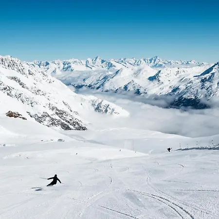 ホテル Wellnesshotel Schweizerhof 4*