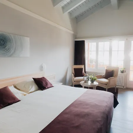 Wellnesshotel Schweizerhof ホテル