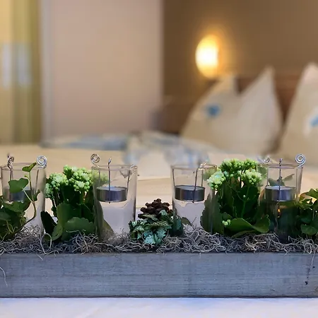 ホテル Wellnesshotel Schweizerhof