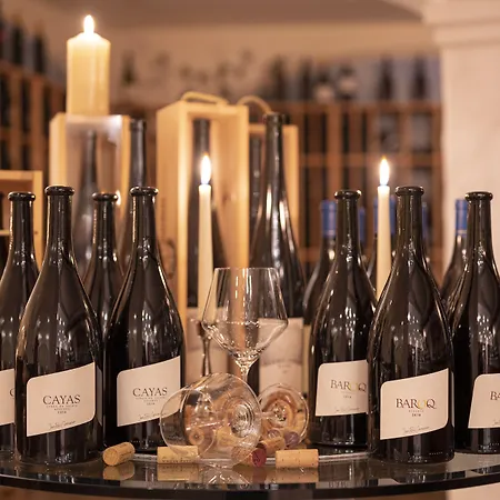 ホテル Wellnesshotel Schweizerhof